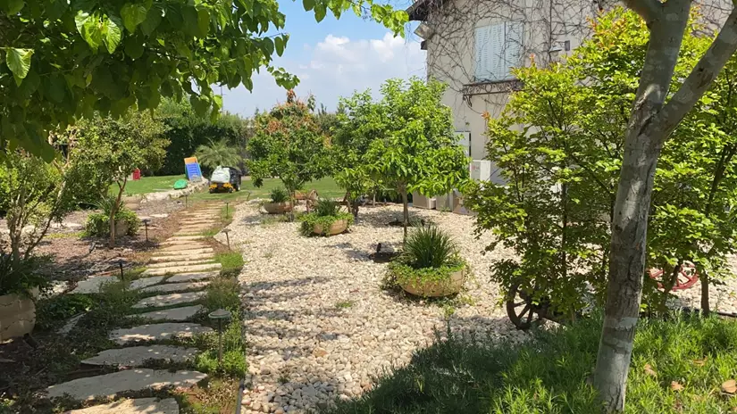 תחזוקת גינה 9